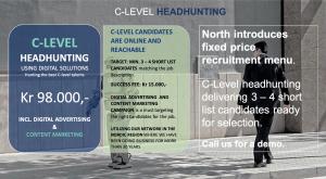 C level headhunting North Magnet