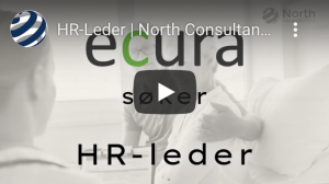 Ecura HR-Leder North Consultants