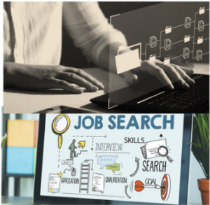 job search North Magnet